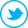 twitter twitter
